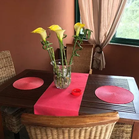 16068d Apartment